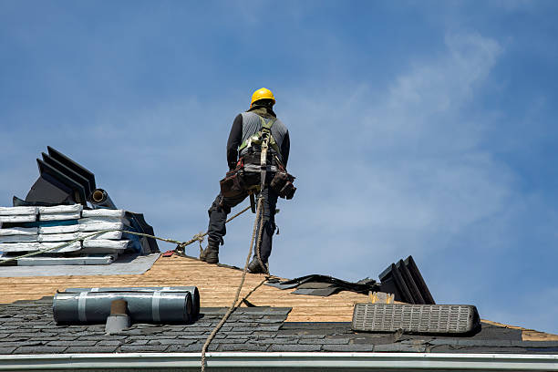 Professional Roof Replacement technician working in Glasford, IL